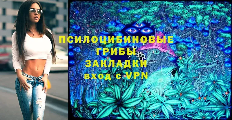 Галлюциногенные грибы Magic Shrooms  где купить наркоту  кракен ССЫЛКА  Ершов 